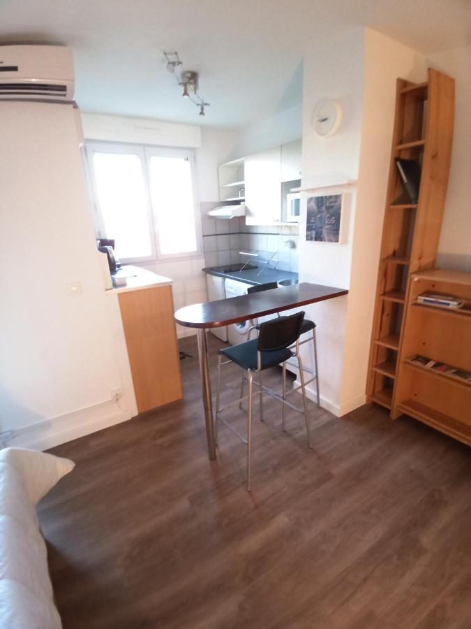 טולוז Studio Santa Monica - Climatise - Piscine - Parking מראה חיצוני תמונה