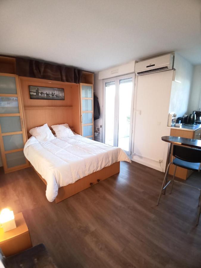 טולוז Studio Santa Monica - Climatise - Piscine - Parking מראה חיצוני תמונה