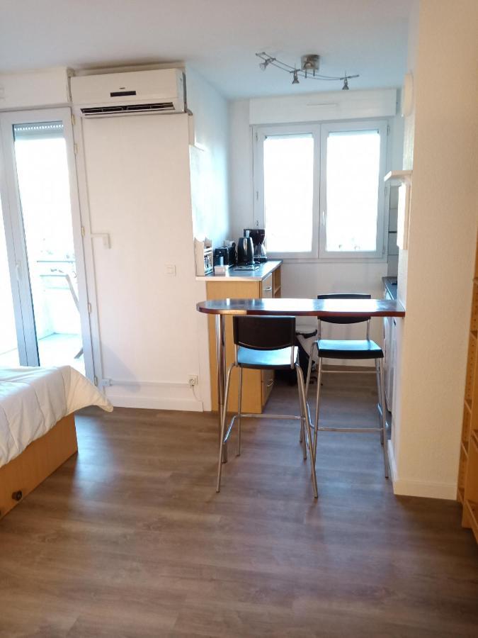 טולוז Studio Santa Monica - Climatise - Piscine - Parking מראה חיצוני תמונה