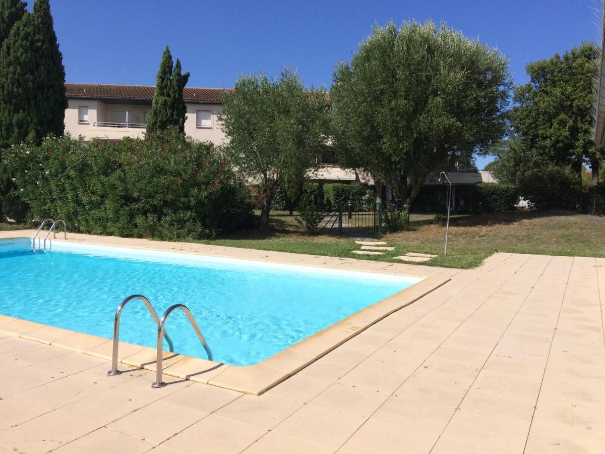 טולוז Studio Santa Monica - Climatise - Piscine - Parking מראה חיצוני תמונה